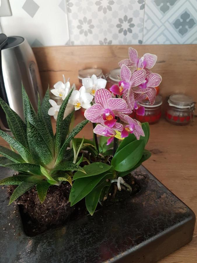 לינה וארוחת בוקר לה תור Fleur De Garance מראה חיצוני תמונה